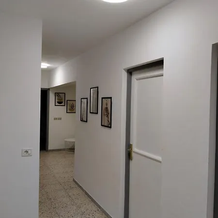 Geranios Albergue Mocanal