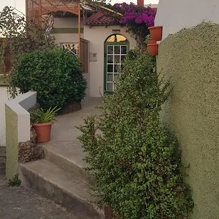 Geranios